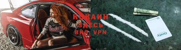 сатива Волоколамск