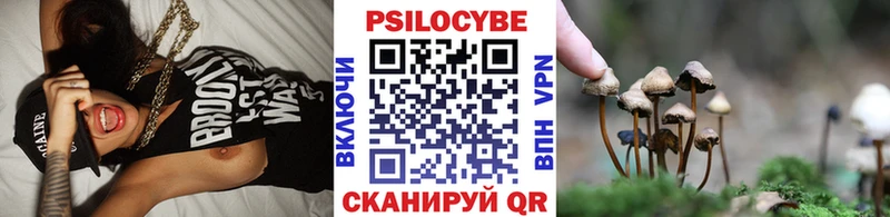 Галлюциногенные грибы Psilocybine cubensis  Волжск 